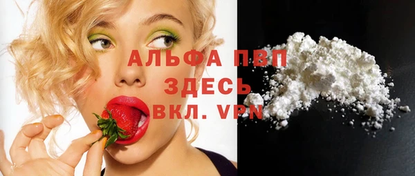 ГАЛЛЮЦИНОГЕННЫЕ ГРИБЫ Вязьма
