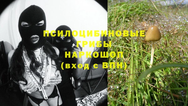 ГАЛЛЮЦИНОГЕННЫЕ ГРИБЫ Вязьма