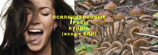 бошки Вяземский