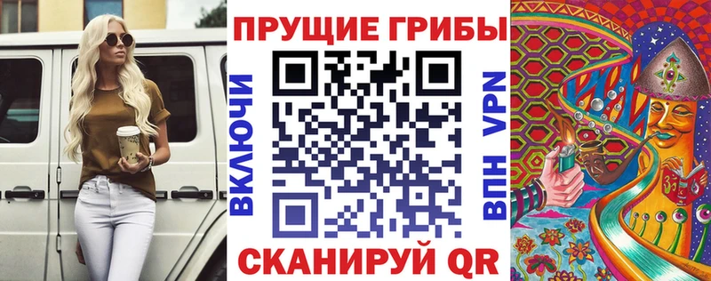 Псилоцибиновые грибы GOLDEN TEACHER  купить наркотик  omg   Чкаловск 